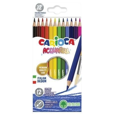 Carioca Kuru Boya Sulandırılabilir 12'li