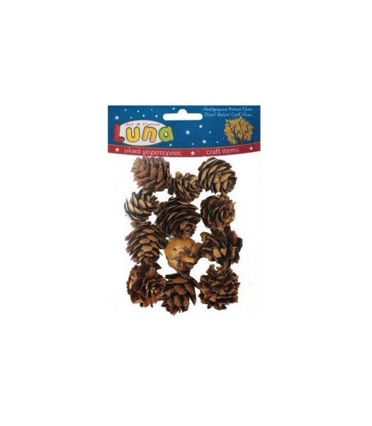Kurutulmuş Kozalaklar 12'li Paket